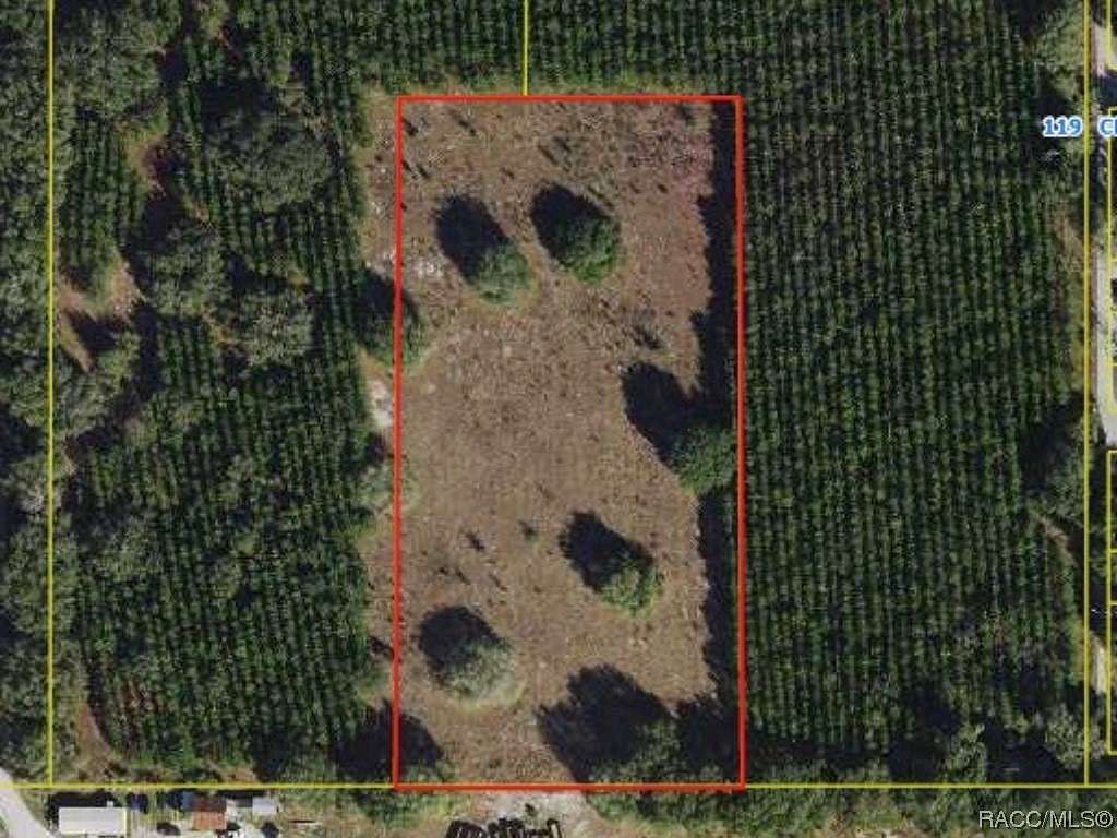 5 Acres of Land for Sale in Lake Panasoffkee, Florida