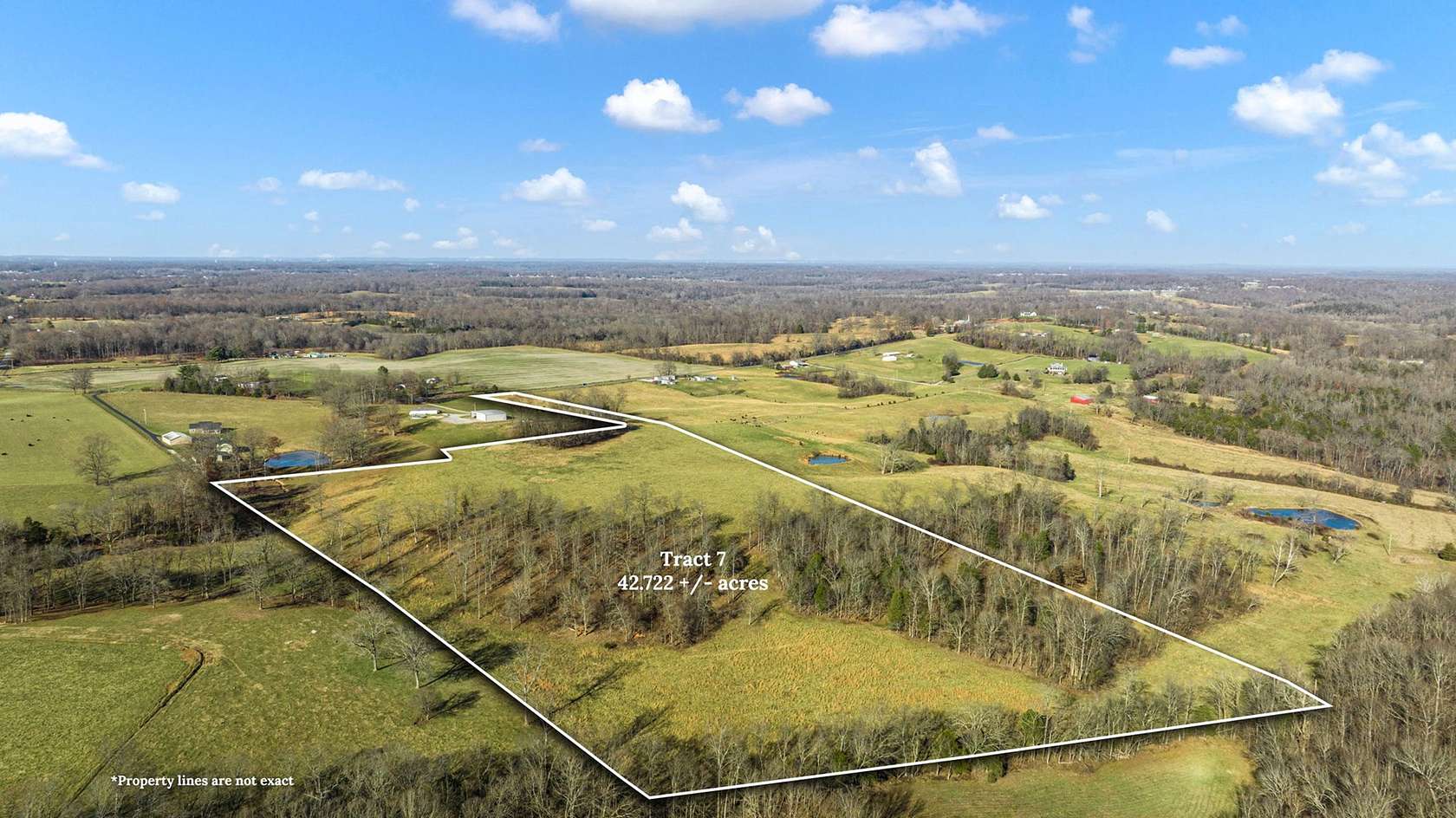 42.7 Acres of Land for Sale in Scottsville, Kentucky