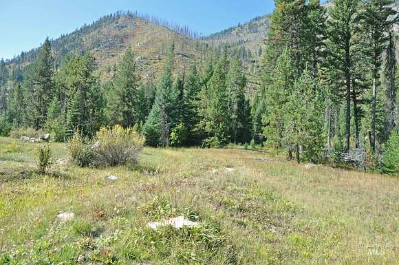 15 Acres of Recreational Land for Sale in Yellow Pine, Idaho