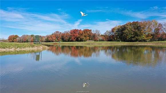 50.6 Acres of Land with Home for Sale in College Station, Texas