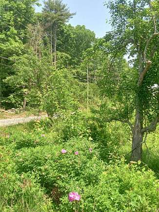 2.83 Acres of Residential Land for Sale in Fitzwilliam, New Hampshire