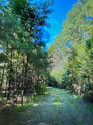 21.3 Acres of Recreational Land for Sale in Varnville, South Carolina