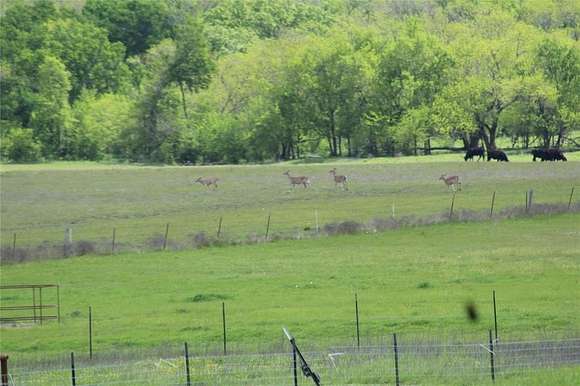 102.715 Acres of Agricultural Land with Home for Sale in Wolfe City, Texas