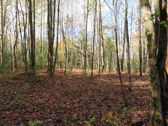 9.6 Acres of Land for Sale in Diana Town, New York