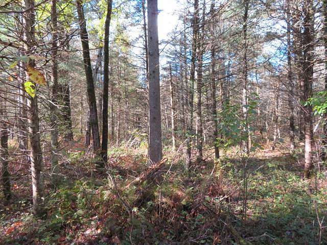 7.7 Acres of Residential Land for Sale in Diana Town, New York