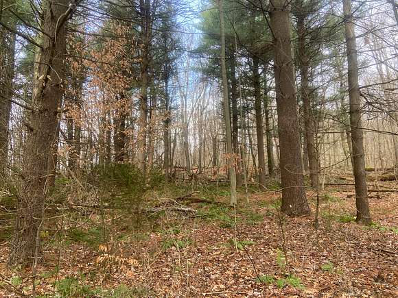 0.8 Acres of Residential Land for Sale in Grantsville, Maryland