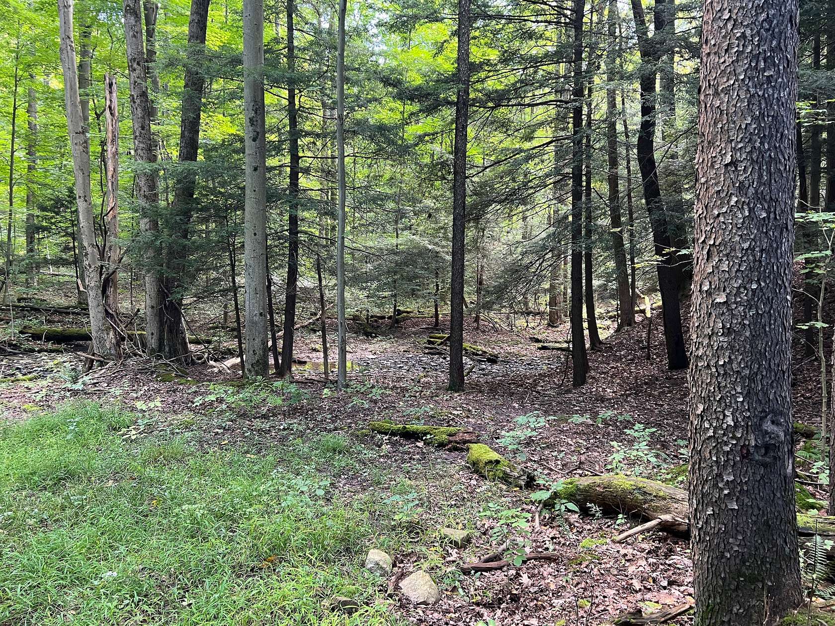 40 Acres of Recreational Land for Sale in Waterford, Pennsylvania