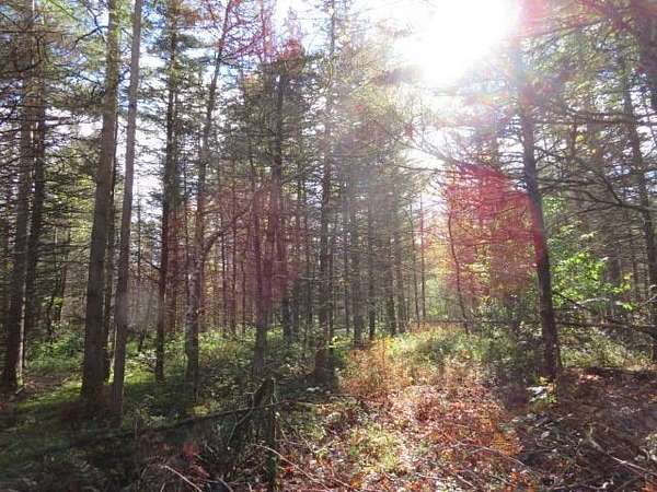 7.7 Acres of Land for Sale in Diana Town, New York