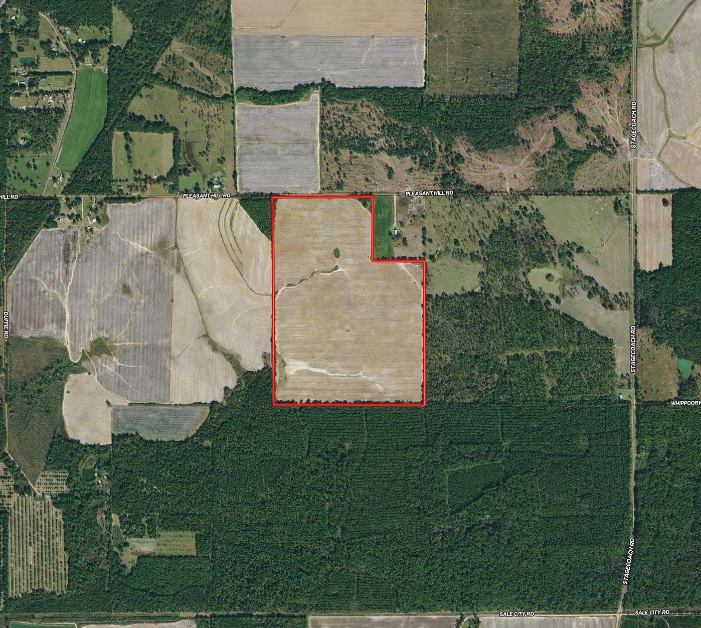 160 Acres of Recreational Land & Farm for Sale in Camilla, Georgia
