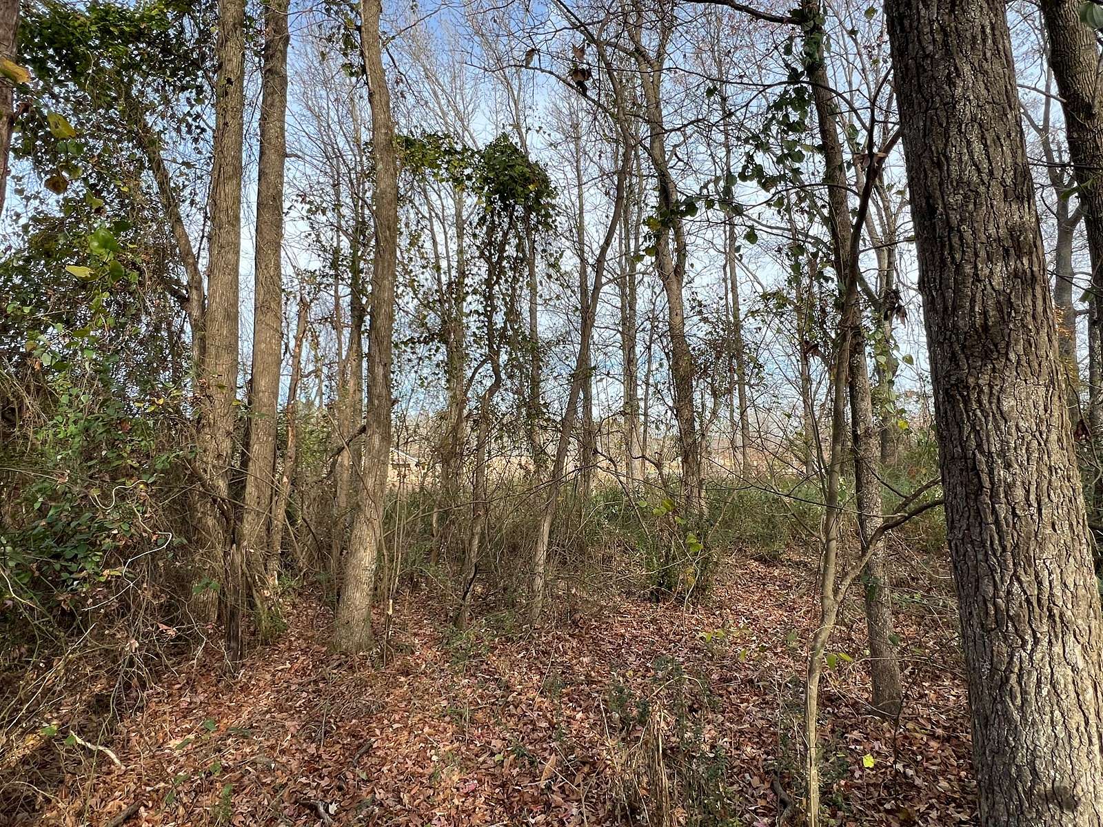 3 Acres of Residential Land for Sale in Bald Knob, Arkansas