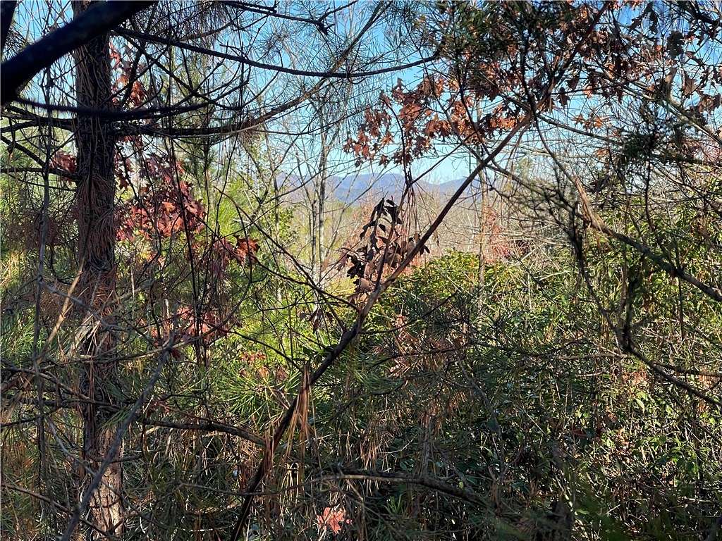 25.88 Acres of Agricultural Land for Sale in Tamassee, South Carolina