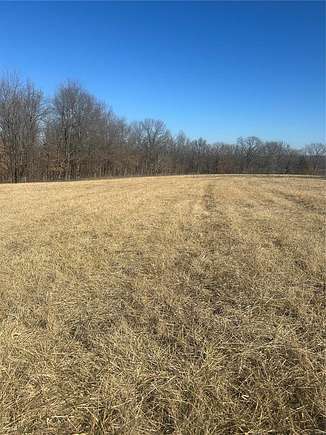 35.9 Acres of Agricultural Land for Sale in Cape Girardeau, Missouri