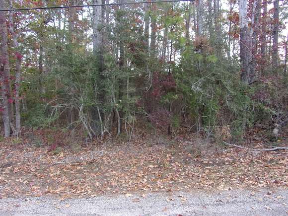 0.61 Acres of Residential Land for Sale in Hemphill, Texas