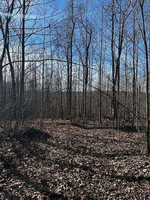 39 Acres of Recreational Land for Sale in Jamestown, Tennessee