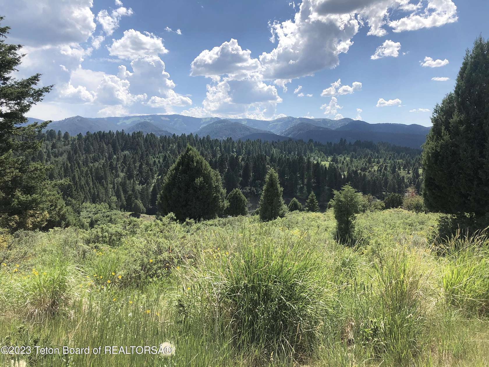 1.7 Acres of Residential Land for Sale in Irwin, Idaho