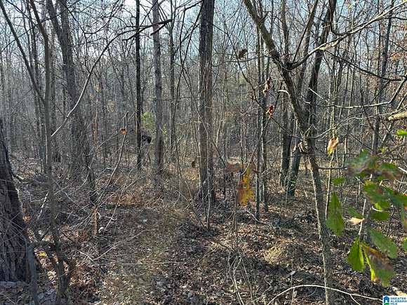 9 Acres of Residential Land for Sale in Riverside, Alabama