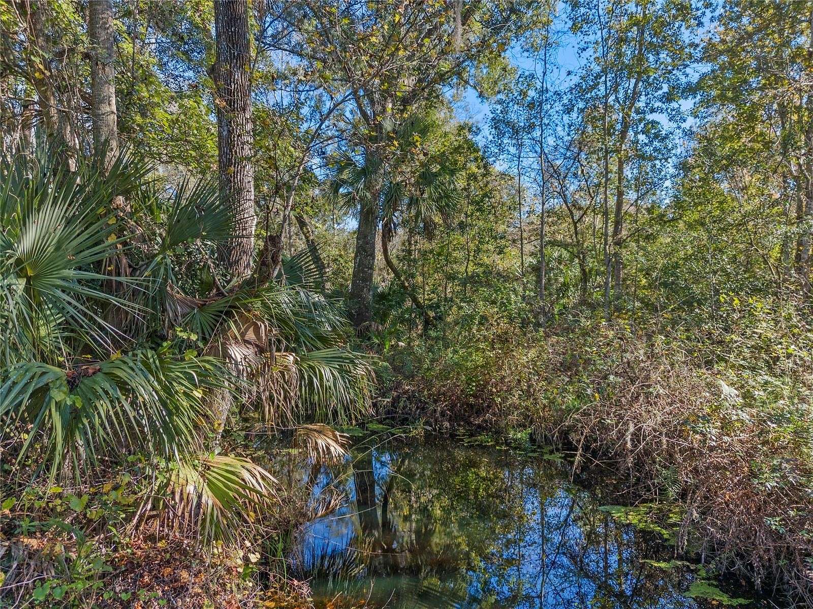 24.2 Acres of Land with Home for Sale in Astatula, Florida
