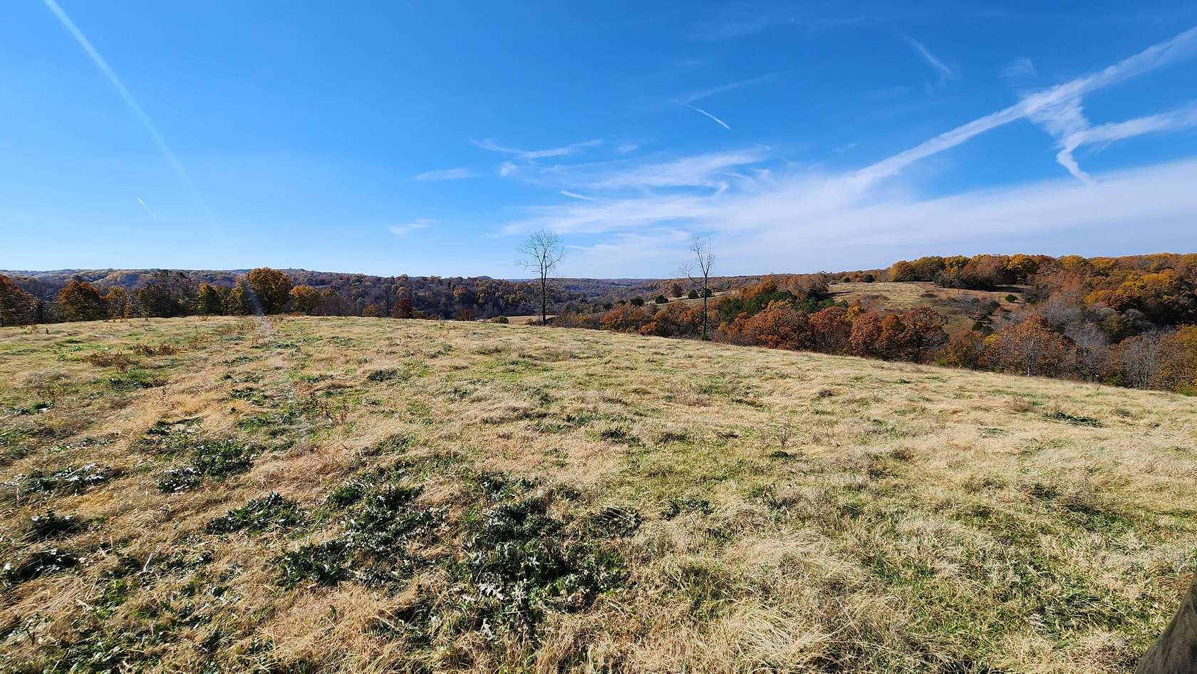 160 Acres of Recreational Land & Farm for Sale in Noel, Missouri