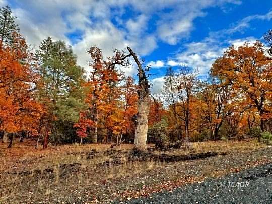 2.58 Acres of Residential Land for Sale in Hayfork, California