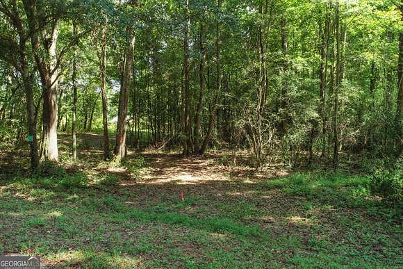 16.5 Acres of Land for Sale in Monroe, Georgia