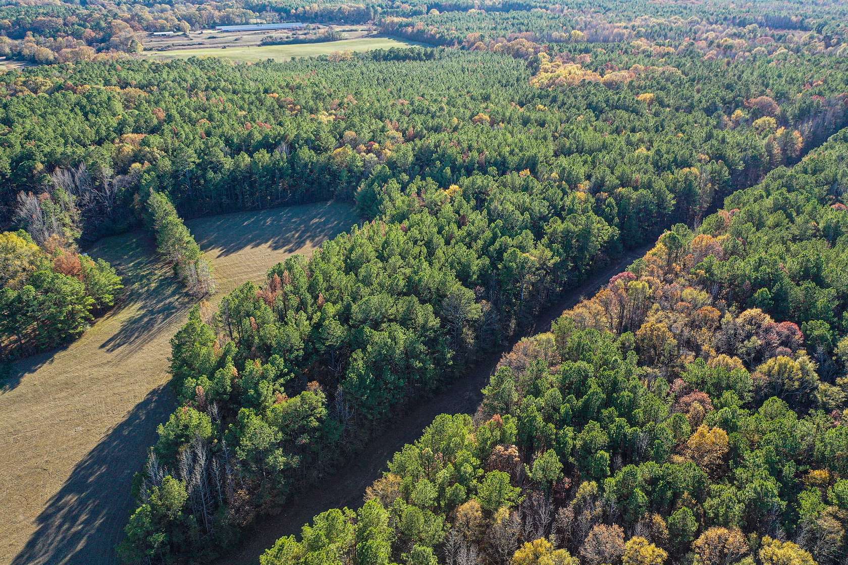 33.5 Acres of Recreational Land for Sale in Kosciusko, Mississippi