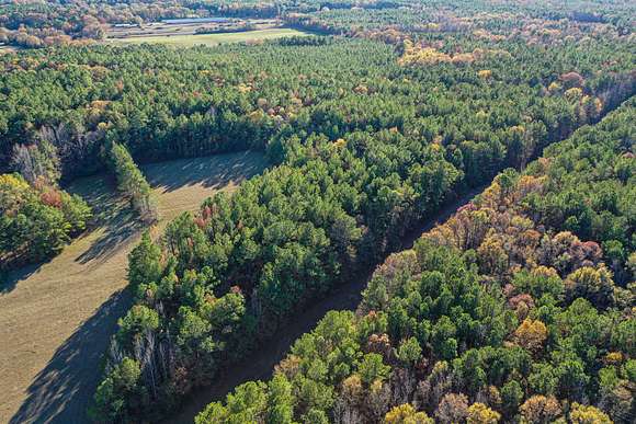 33.5 Acres of Recreational Land for Sale in Kosciusko, Mississippi