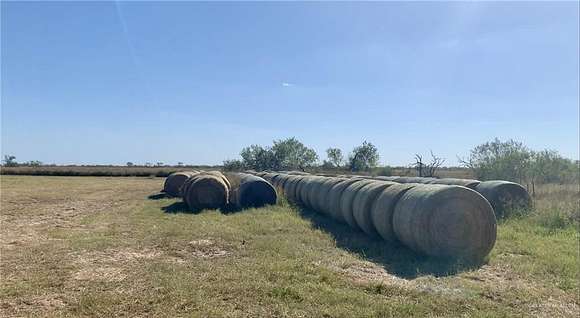 31 Acres of Agricultural Land for Sale in Rachal, Texas