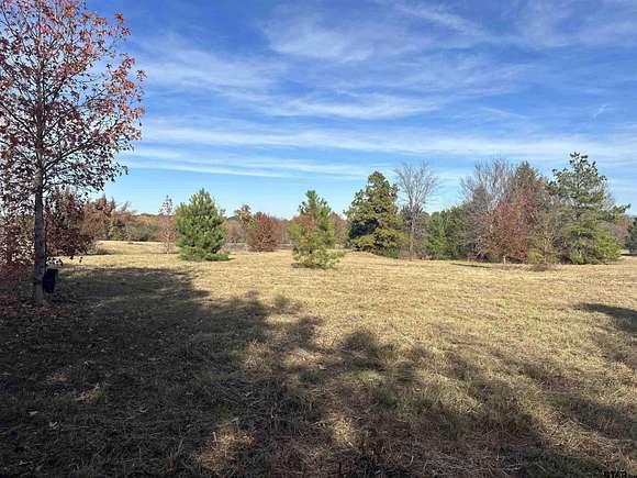 21.8 Acres of Recreational Land for Sale in Tyler, Texas
