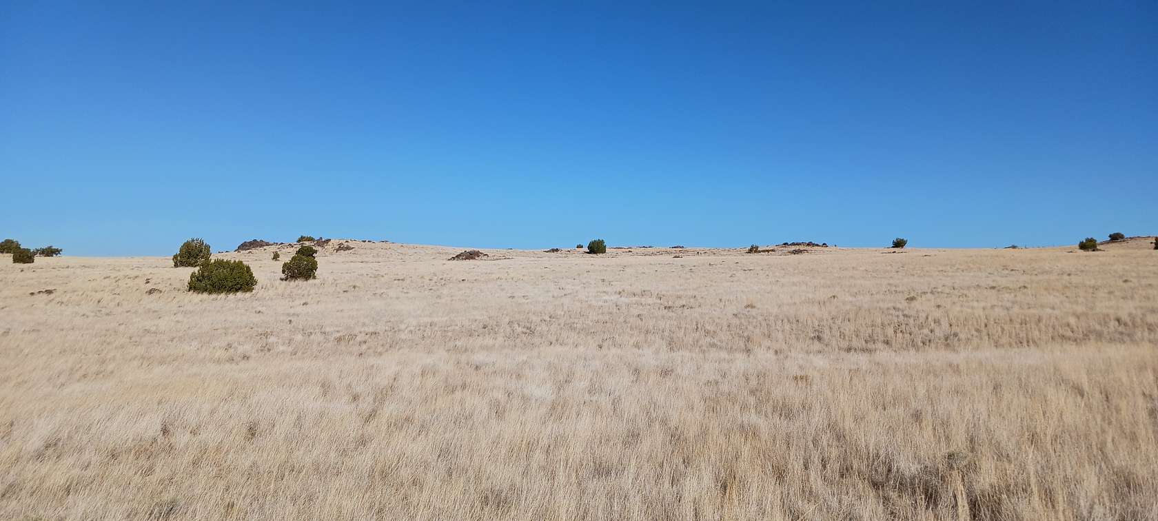 1 Acre of Residential Land for Sale in Concho, Arizona