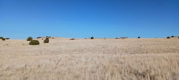 1 Acre of Residential Land for Sale in Concho, Arizona
