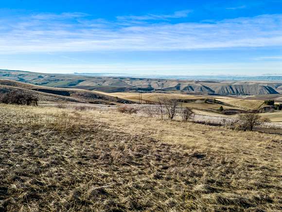 76 Acres of Agricultural Land for Sale in Culdesac, Idaho