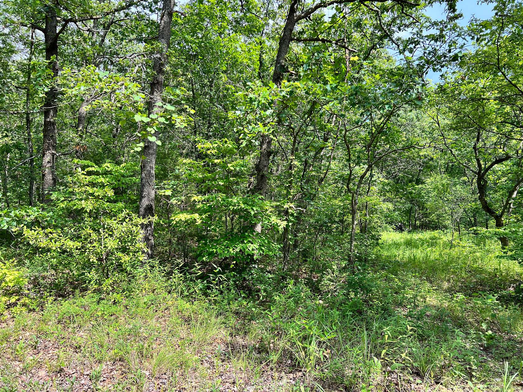 0.07 Acres of Residential Land for Sale in Lincoln, Missouri