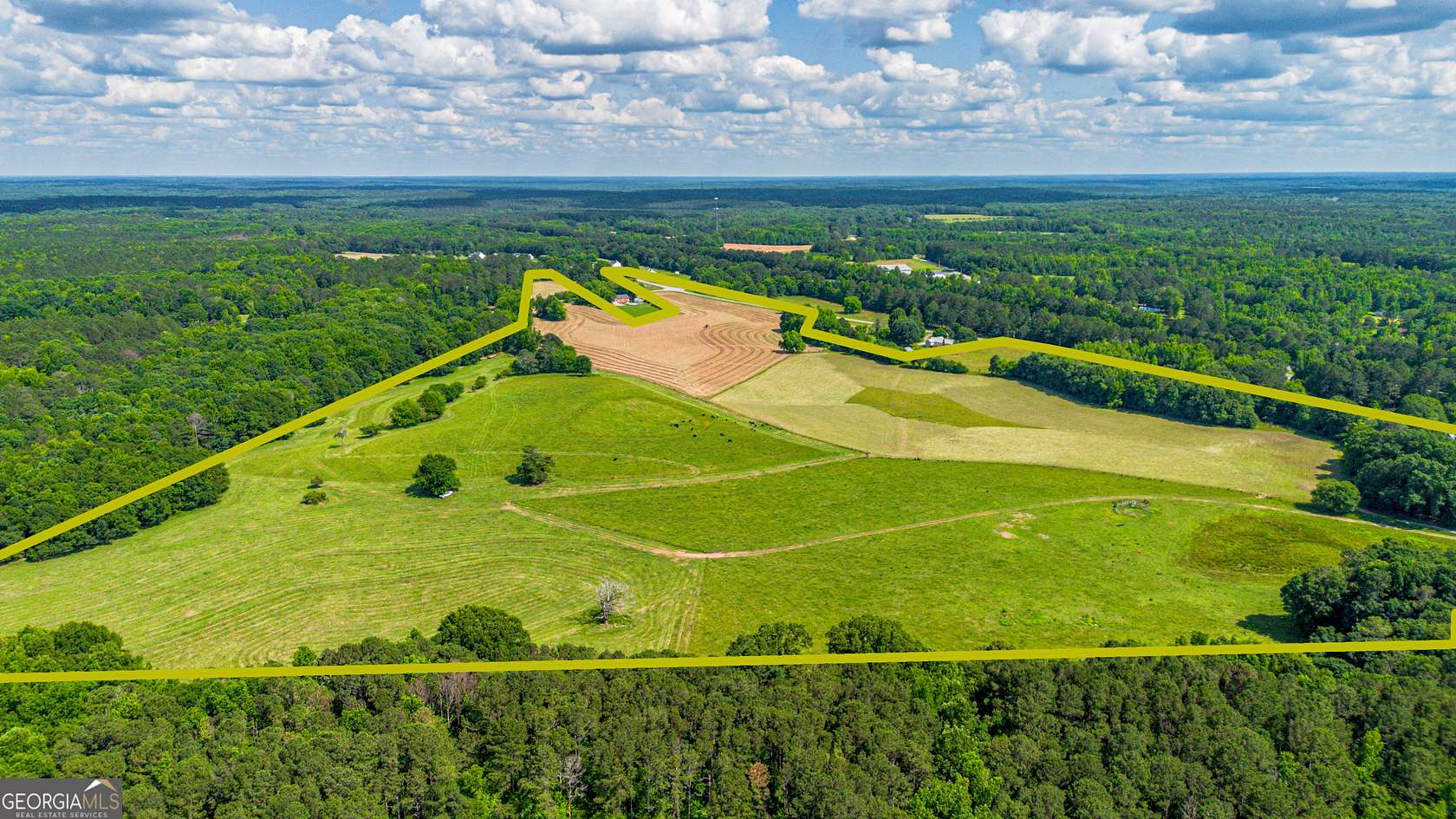 95.1 Acres of Agricultural Land for Sale in Rutledge, Georgia
