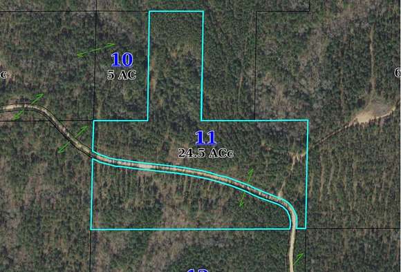 24.5 Acres of Recreational Land for Sale in Vossburg, Mississippi