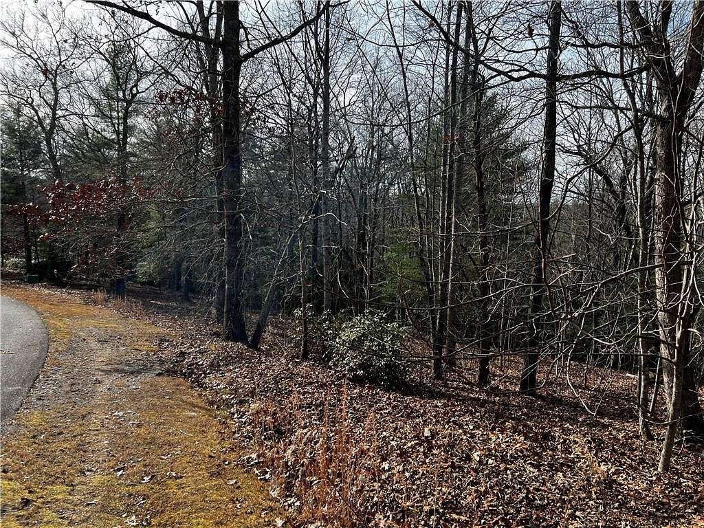 1.53 Acres of Residential Land for Sale in Cleveland, Georgia