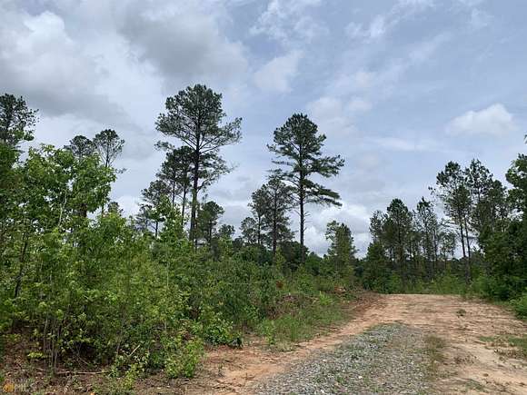 20 Acres of Land for Sale in Pine Mountain, Georgia