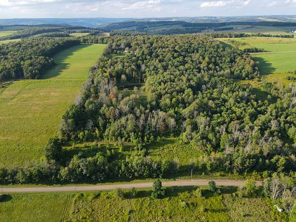 21 Acres of Recreational Land for Sale in Troupsburg, New York