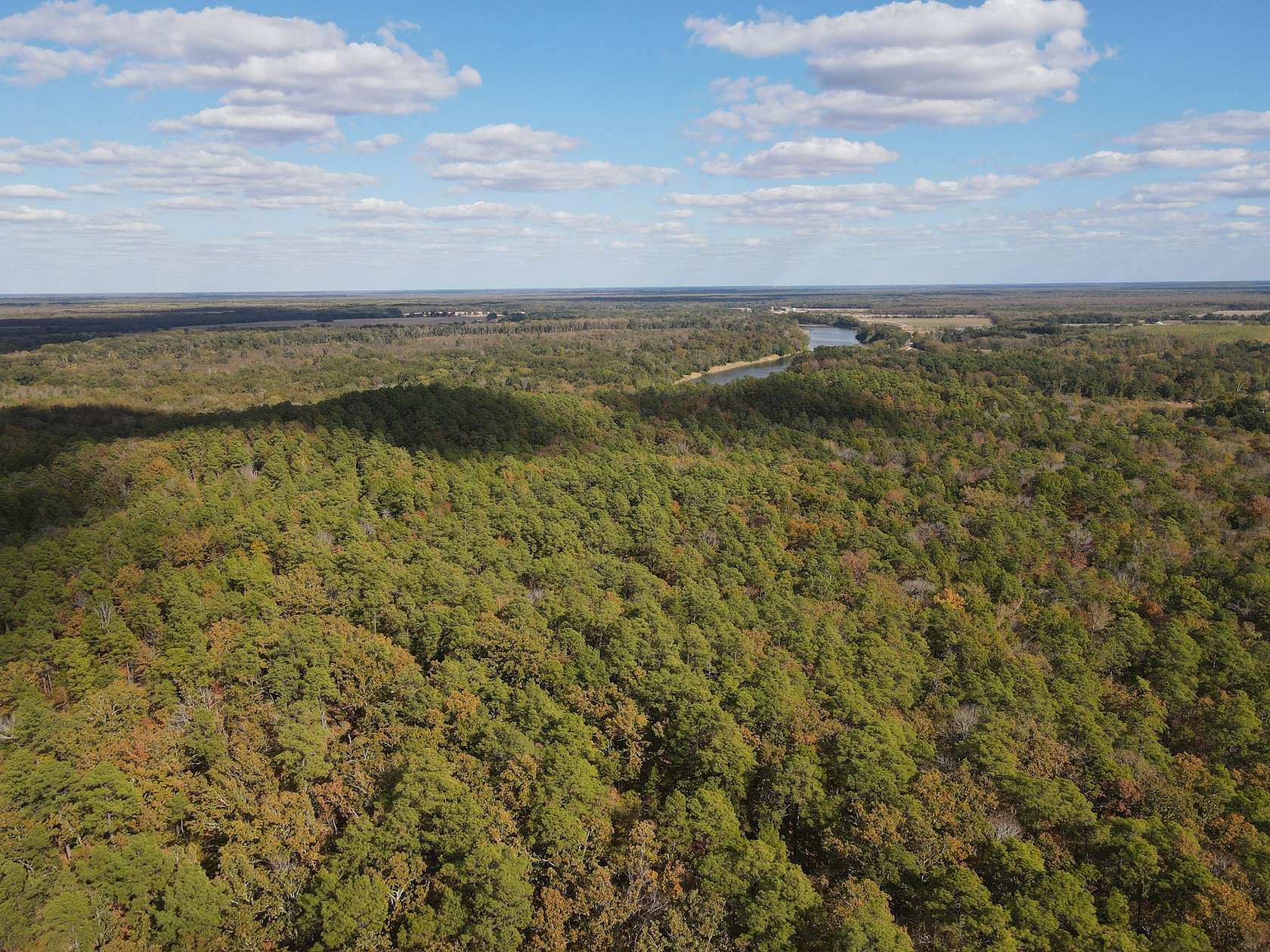 40 Acres of Recreational Land for Sale in Columbia, Louisiana