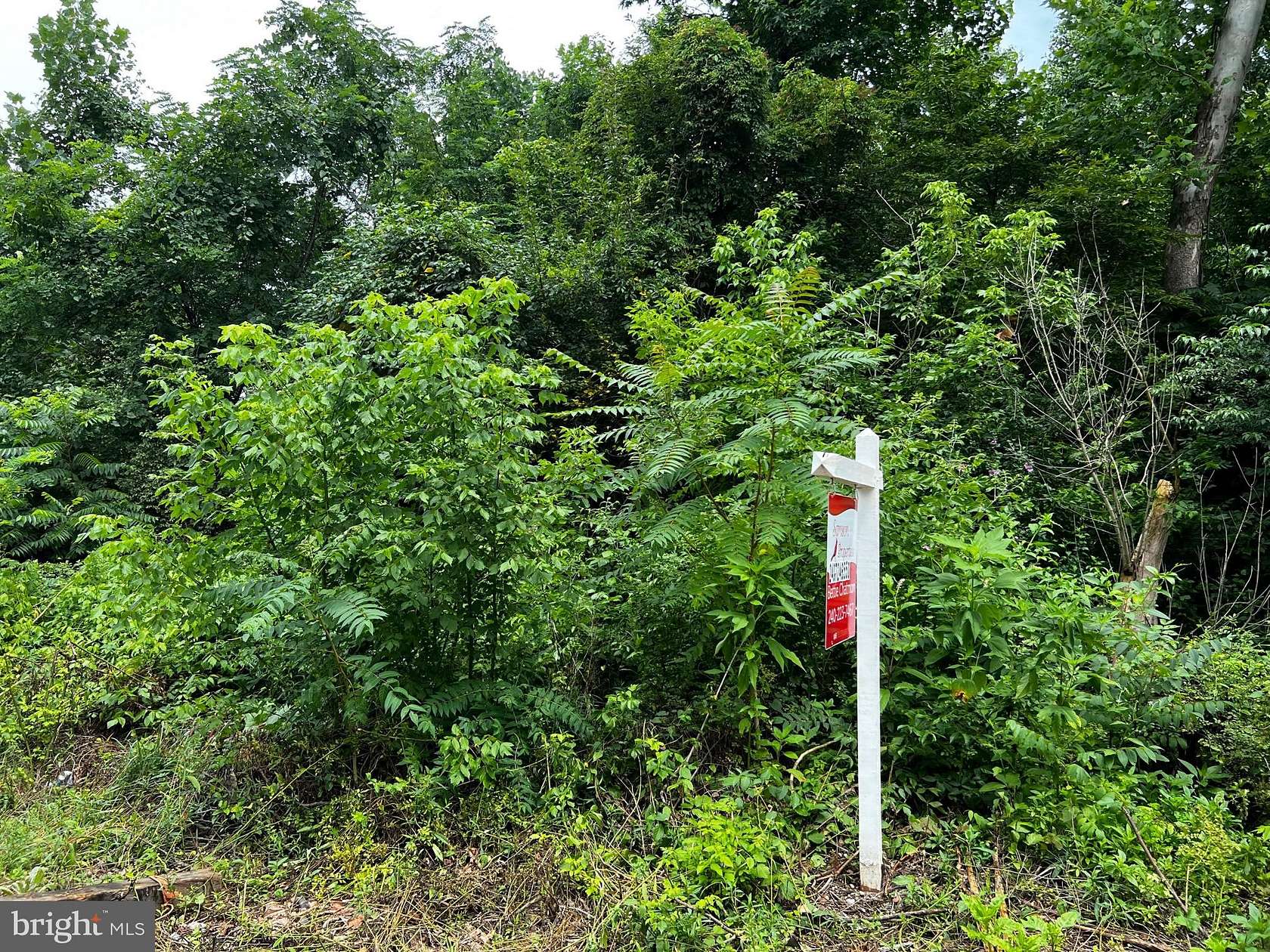 0.52 Acres of Residential Land for Sale in Clinton, Maryland