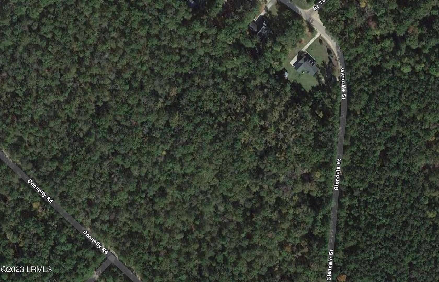 1 Acre of Residential Land for Sale in Hampton, South Carolina