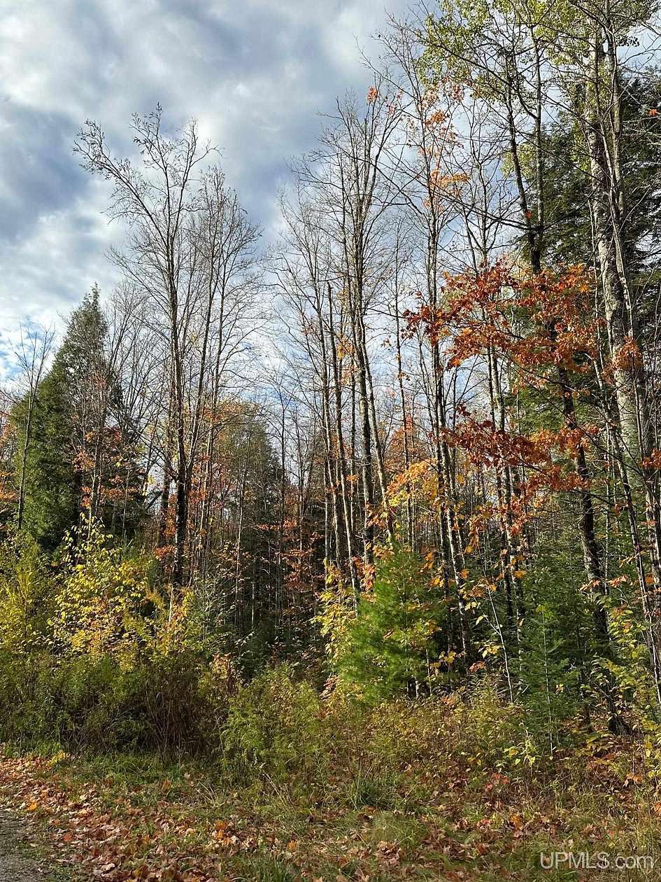3.1 Acres of Residential Land for Sale in Watersmeet, Michigan