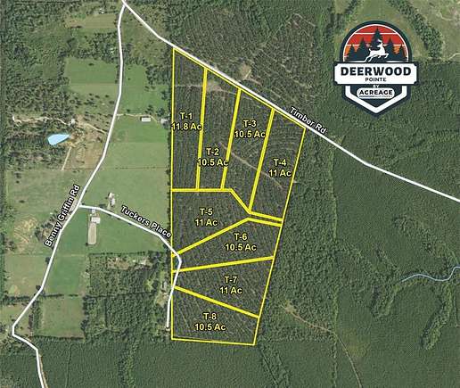 11 Acres of Recreational Land for Sale in Livingston, Texas