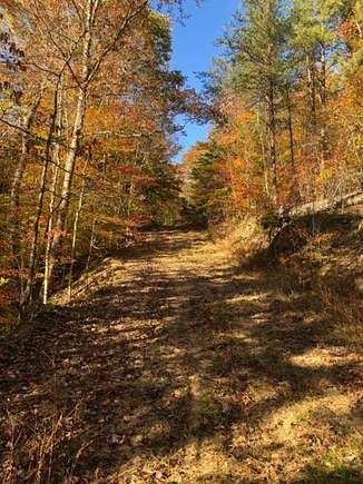 24.08 Acres of Recreational Land for Sale in Isonville, Kentucky