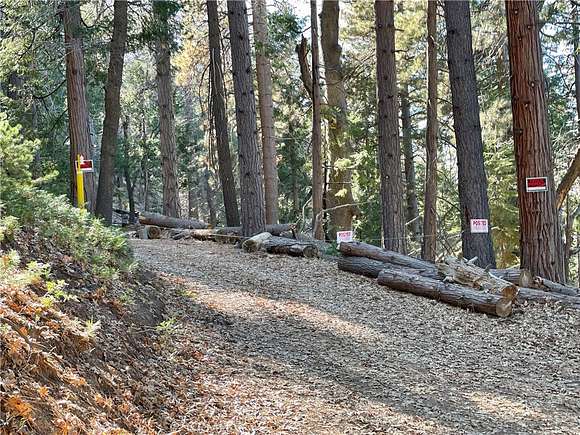 0.55 Acres of Land for Sale in Idyllwild, California
