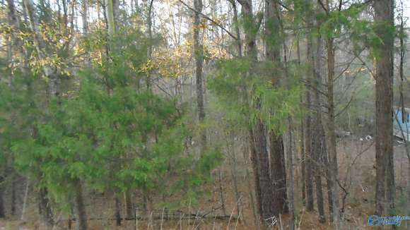 1.3 Acres of Residential Land for Sale in Glencoe, Alabama