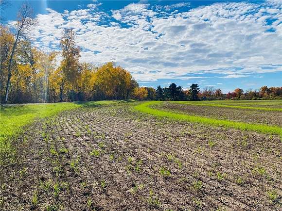 25.24 Acres of Agricultural Land for Sale in Rice Lake, Wisconsin
