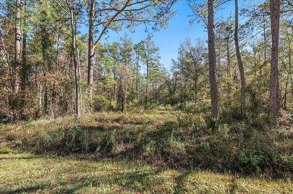 1.14 Acres of Residential Land for Sale in Hastings, Florida