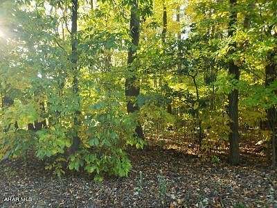 1.1 Acres of Residential Land for Sale in Martinsburg, Pennsylvania