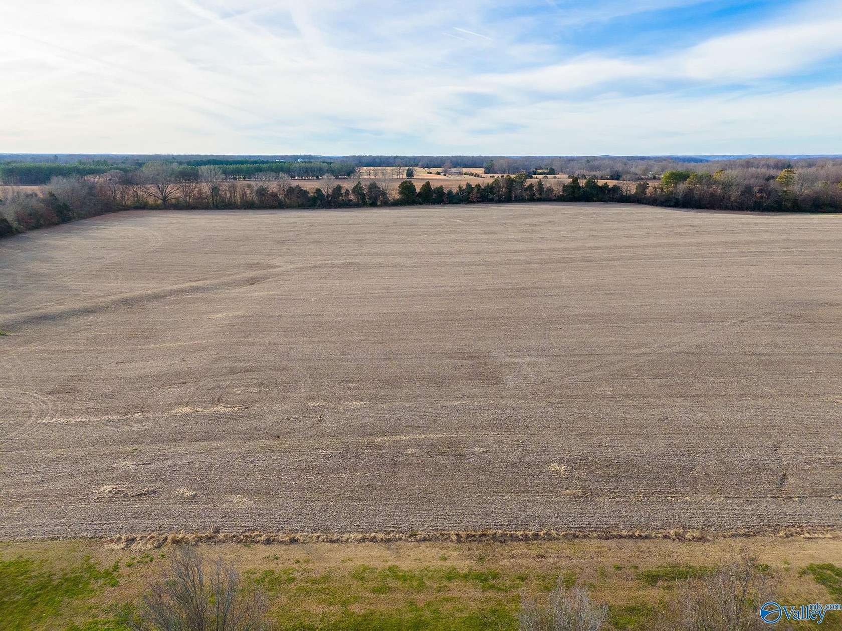 29 Acres of Land for Sale in Elkmont, Alabama