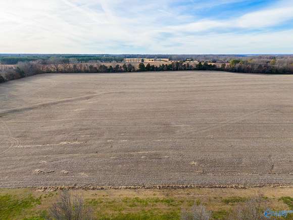 28.2 Acres of Land for Sale in Elkmont, Alabama